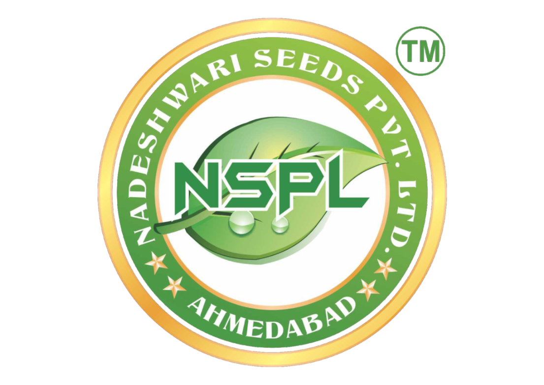 Shubh Seeds Logo